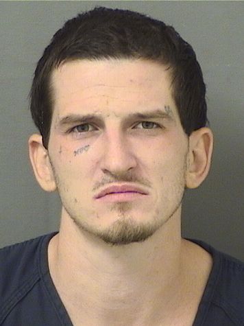  PAUL ALEXANDER BARTSCH Results from Palm Beach County Florida for  PAUL ALEXANDER BARTSCH