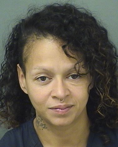  MARIANA HERNANDEZ Results from Palm Beach County Florida for  MARIANA HERNANDEZ