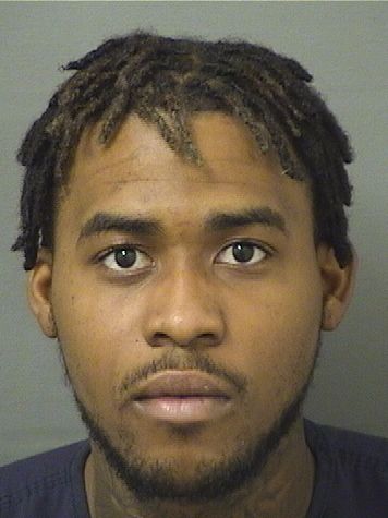  DAMAEL ODIN LALOI Results from Palm Beach County Florida for  DAMAEL ODIN LALOI