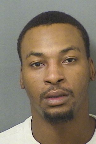  REGINALD VINCENT DESAMEAU Results from Palm Beach County Florida for  REGINALD VINCENT DESAMEAU