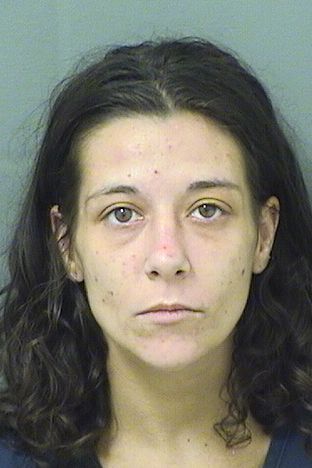  AMANDA LEE DIMON Results from Palm Beach County Florida for  AMANDA LEE DIMON