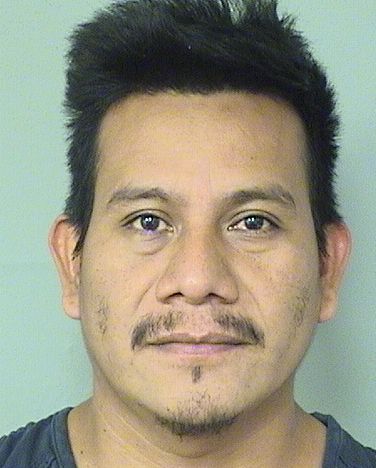  LUIS ANGEL CRUZVELASQUEZ Results from Palm Beach County Florida for  LUIS ANGEL CRUZVELASQUEZ