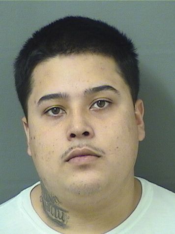 DIEGO SANCHEZROBLEDO Results from Palm Beach County Florida for DIEGO SANCHEZROBLEDO DIEGO SANCHEZROBLEDO Results from Palm Beach County Florida for DIEGO SANCHEZROBLEDO