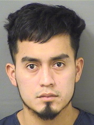  WINTER A PEREZLARIOS Resultados de la busqueda para Palm Beach County Florida para  WINTER A PEREZLARIOS