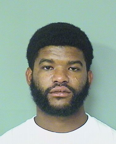  DAVID ROSENKRANTZ Results from Palm Beach County Florida for  DAVID ROSENKRANTZ