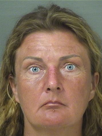  OLENA ROSSOVSKA Results from Palm Beach County Florida for  OLENA ROSSOVSKA