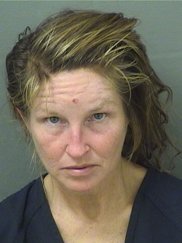  DANA M CRITTENDON Results from Palm Beach County Florida for  DANA M CRITTENDON