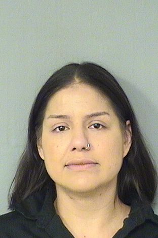  JOHANNA AGUSTINA SANCHEZ Results from Palm Beach County Florida for  JOHANNA AGUSTINA SANCHEZ
