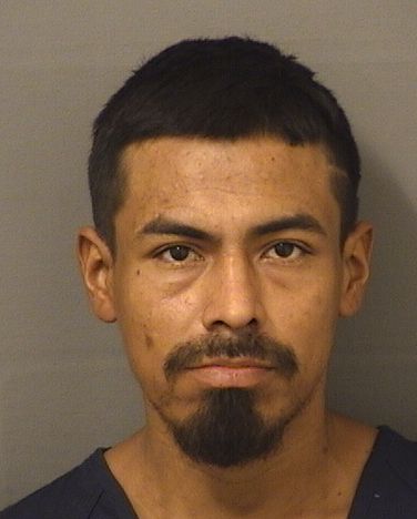  ELMER RODRIGUEZ Results from Palm Beach County Florida for  ELMER RODRIGUEZ