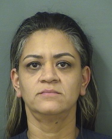  MARINA E MEZAPRIETO Results from Palm Beach County Florida for  MARINA E MEZAPRIETO