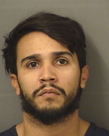  LUIS PAULODASILVA CARVALHO Results from Palm Beach County Florida for  LUIS PAULODASILVA CARVALHO