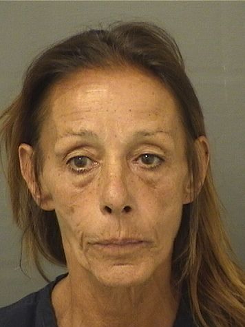  DARA ANN ALIOTTA Photo