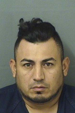  SIGFRID ORTIZ Results from Palm Beach County Florida for  SIGFRID ORTIZ