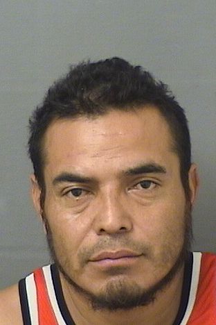  ARIS ALBERTO MENDEZLOPEZ Results from Palm Beach County Florida for  ARIS ALBERTO MENDEZLOPEZ