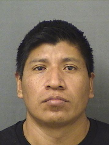  OCTAVIANO M ROBERTO Results from Palm Beach County Florida for  OCTAVIANO M ROBERTO