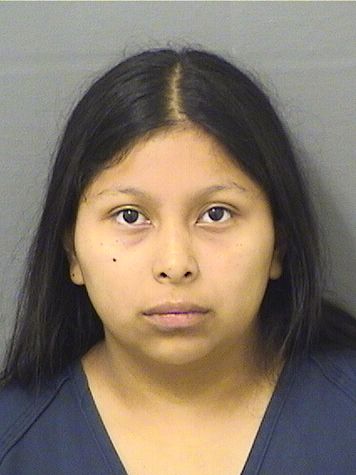  JENNIFER ANDREA SILVESTRE Results from Palm Beach County Florida for  JENNIFER ANDREA SILVESTRE