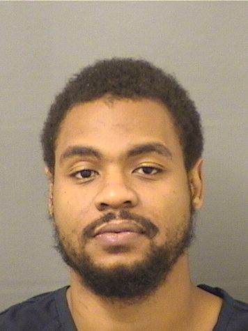  ARSENIO SCOTT TOUSSAINT Results from Palm Beach County Florida for  ARSENIO SCOTT TOUSSAINT