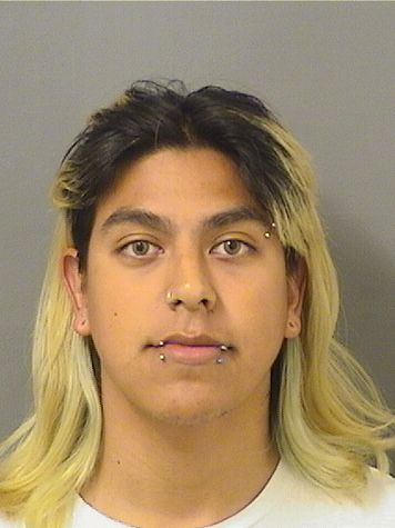  RAYMOND I GONZALES Results from Palm Beach County Florida for  RAYMOND I GONZALES