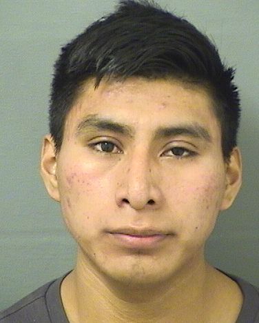  ROMEO DELACRUZJIMENEZ Results from Palm Beach County Florida for  ROMEO DELACRUZJIMENEZ