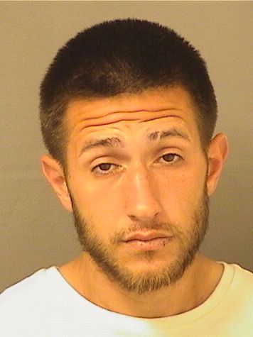  MICHAEL AGOLA Results from Palm Beach County Florida for  MICHAEL AGOLA