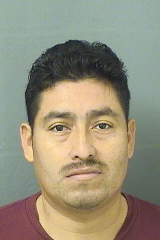  HUMBERLAIN MANRIQUE VELAZQUEZ Results from Palm Beach County Florida for  HUMBERLAIN MANRIQUE VELAZQUEZ