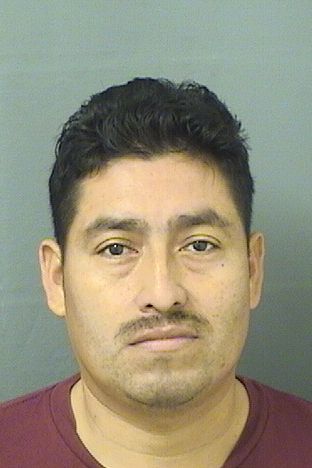 HUMBERLAIN MANRIQUE VELAZQUEZ Results from Palm Beach County Florida for HUMBERLAIN MANRIQUE VELAZQUEZ HUMBERLAIN MANRIQUE VELAZQUEZ Results from Palm Beach County Florida for HUMBERLAIN MANRIQUE VELAZQUEZ