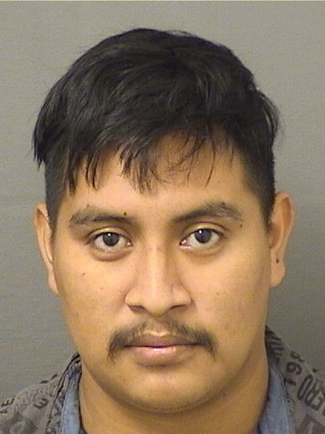  GERSON GABRIEL PEREZGODINEZ Results from Palm Beach County Florida for  GERSON GABRIEL PEREZGODINEZ