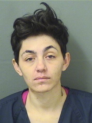  FELIXSYA AMANDA SICARA Results from Palm Beach County Florida for  FELIXSYA AMANDA SICARA