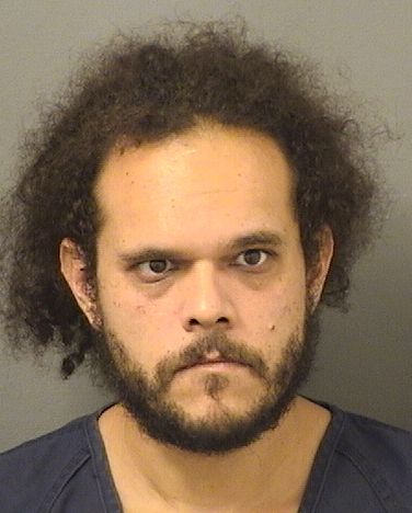  JOHNNY MONTERO Results from Palm Beach County Florida for  JOHNNY MONTERO