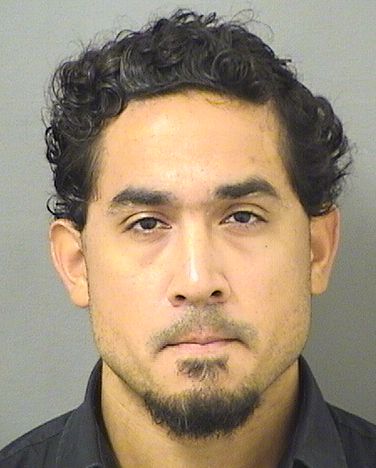  DANUBIO ANTONIO VALDES Results from Palm Beach County Florida for  DANUBIO ANTONIO VALDES