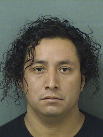  RODOLFO CHINGOGRAVE Results from Palm Beach County Florida for  RODOLFO CHINGOGRAVE
