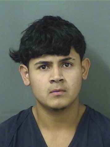  HENRY N ACOSTA Resultados de la busqueda para Palm Beach County Florida para  HENRY N ACOSTA