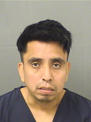  NIXON EVERARDO RAMIREZRAMOS Resultados de la busqueda para Palm Beach County Florida para  NIXON EVERARDO RAMIREZRAMOS