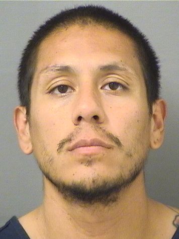  MICHAEL ANGELO ARMENDARIZ Results from Palm Beach County Florida for  MICHAEL ANGELO ARMENDARIZ