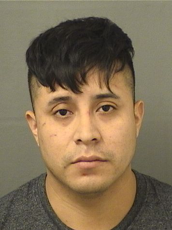  EDILZAR YOVANY SADOVALCHILEL Results from Palm Beach County Florida for  EDILZAR YOVANY SADOVALCHILEL