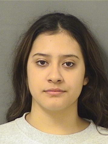  NANCY C NUNEZ Results from Palm Beach County Florida for  NANCY C NUNEZ