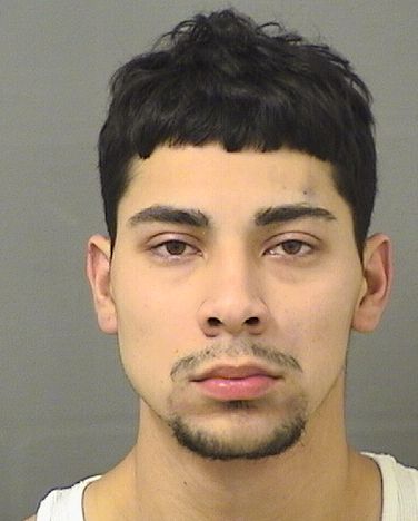  RAUL ARRIAGA ALBARRAN Results from Palm Beach County Florida for  RAUL ARRIAGA ALBARRAN