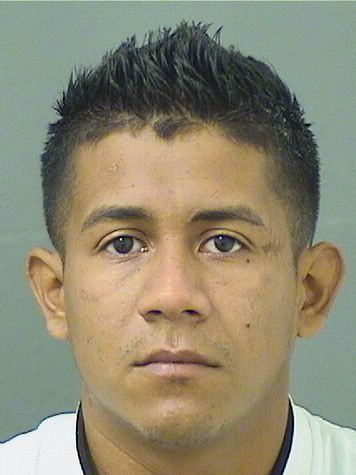  ALEXANDER JOSE TINOCOMENDOZA Results from Palm Beach County Florida for  ALEXANDER JOSE TINOCOMENDOZA