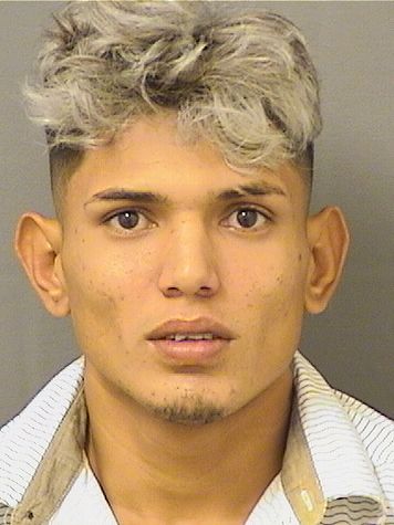  JUNIOR JOSE HERNANDEZPEREZ Results from Palm Beach County Florida for  JUNIOR JOSE HERNANDEZPEREZ