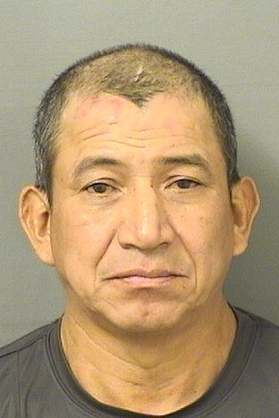  ANGEL A LEMUSALVARADO Resultados de la busqueda para Palm Beach County Florida para  ANGEL A LEMUSALVARADO