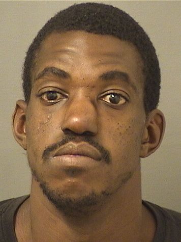  BRANDON R R TELFORT Results from Palm Beach County Florida for  BRANDON R R TELFORT