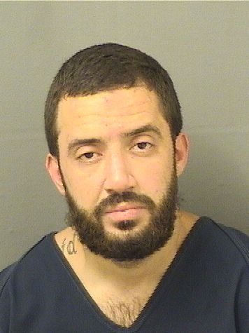  BRIAN A BALLESTEROS Results from Palm Beach County Florida for  BRIAN A BALLESTEROS