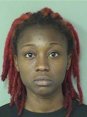  ADELINE MICHEL Results from Palm Beach County Florida for  ADELINE MICHEL