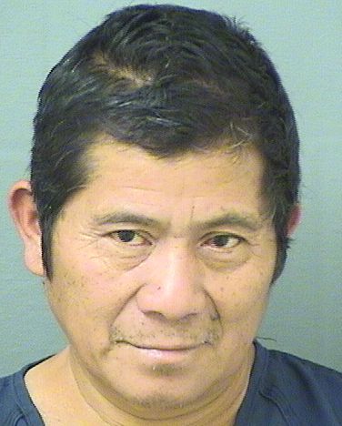  DIEGO FELIPEDOMINGO Resultados de la busqueda para Palm Beach County Florida para  DIEGO FELIPEDOMINGO