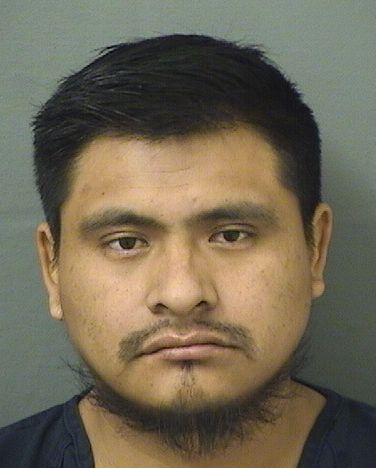  ALFREDO BARTOLOMEJUAN Results from Palm Beach County Florida for  ALFREDO BARTOLOMEJUAN