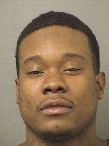  DEVIN ARNELL Jr MILLER Results from Palm Beach County Florida for  DEVIN ARNELL Jr MILLER