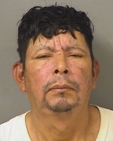  REYNALDO PEREZ Results from Palm Beach County Florida for  REYNALDO PEREZ