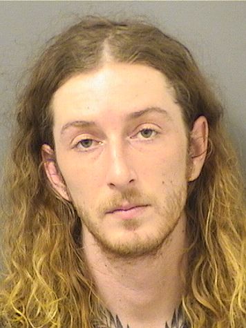  MICHAEL ANTHONY PESATURO Results from Palm Beach County Florida for  MICHAEL ANTHONY PESATURO