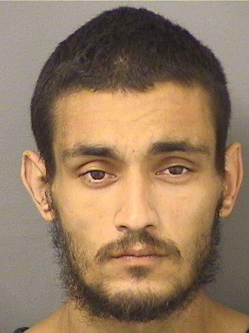  CRISTINO JOHN MADIGAN Results from Palm Beach County Florida for  CRISTINO JOHN MADIGAN