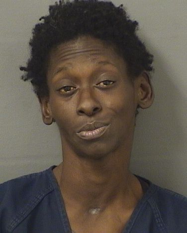  SHANTELLE DARIALLE HENDRIX Resultados de la busqueda para Palm Beach County Florida para  SHANTELLE DARIALLE HENDRIX